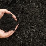 Everything to Know About Mulch