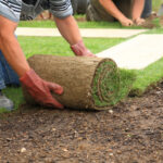 Sod Installation and Maintenance